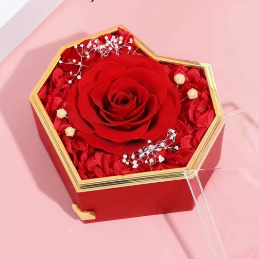 Rosa eterna con collar doble